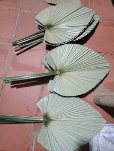 Vietnamese Palm Handfan with Elegant Design Suitable for Gifts and Cultural Displays - Product Image 6