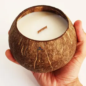 Candela ciotola di cocco odori diversi candela profumata al cocco cera di cocco regalo
