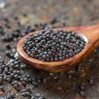 Uitstekende kwaliteit premium AD rauwe mosterdzaadpoeder, sterke smaak, natuurlijke kruid voor gebruik in keuken, restaurant en catering.