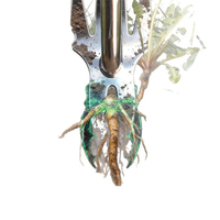 Désherbeur manuel en acier inoxydable, robuste, ergonomique, antidérapant, 4 lames tranchantes, pour l'élimination profonde des racines, outil de jardinage manuel