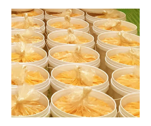 Exportation du Vietnam pulpe de fruit de la passion congelée OEM fourniture en usine en vrac vente en gros purée de graines ou sans pépins meilleur prix international - Product Image 1