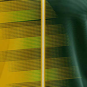 Chaqueta Deportiva Personalizada con Estampado por Transferencia de Calor para Hombre, Ligera, Cortavientos, Talla Grande, para Verano, con Cremallera Completa, 100% Poliéster - Product Image 5