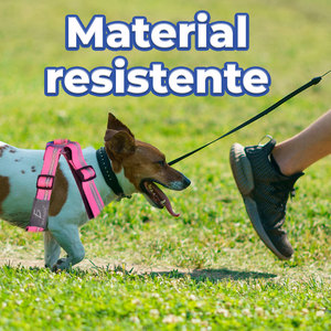 Set di Imbracatura e Guinzaglio Riflettente in Nylon per Cani e Gatti, Comodo e Antifuga, Stile Solido in Materiale Oxford - Product Image 4
