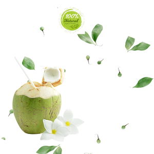 Hidratación de coco fresco vietnamita de los trópicos Producto agrícola Premium - Product Image 2