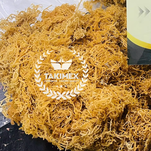 Mousse de mer séchée st lucia du Vietnam moins cher prix mousse irlandaise séchée pour faire Gel à boire mousse de mer dorée violet bon prix - Product Image 6