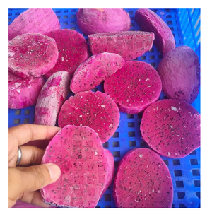 IQF Frozen Dragon Fruit Vietnam Cubes rouges et blancs Saveur douce fraîche pour l'exportation - Product Image 4