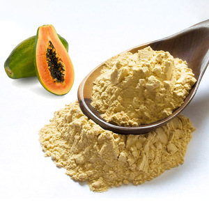 ผงมะละกอเขียวธรรมชาติแบบผงมะละกอดิบจำนวนมากจัดส่งทั่วโลก - Product Image 3