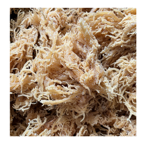 มอสทะเลไอริชแบบพรีเมี่ยม/สาหร่ายสีทองอบแห้งช่วยเพิ่มอาหารของคุณด้วยโรงไฟฟ้าที่มีสารอาหารจากเวียดนาม - Product Image 1