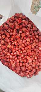 Premium Mundu Chili-Chiles rojos secos enteros, orgánicos, seleccionados a mano, 100% naturales, especias indias disponibles a granel 25kg/50kg - Product Image 3