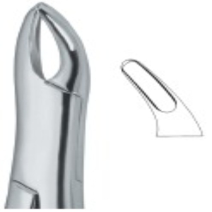 คีมคปากเม้ด MD1เครื่องมือผ่าตัดเหล็กสำหรับถอนฟันรากฟันด้านบน - Product Image 4