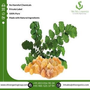 Fourniture en gros de la plus haute qualité Extrait de plantes de Boswellia Serrata de qualité thérapeutique pure et naturelle de l'exportateur indien - Product Image 2