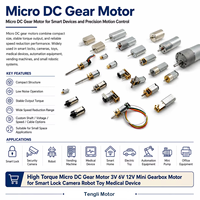 Moteur DC à aimant permanent 555 innovant et silencieux à couple élevé pour stores de fenêtre connectés avec suivi précis et encodeur