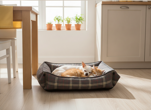 Lit pour animaux de compagnie convertible réglable de qualité supérieure Amistar pour chats et chiens de petite race, tissu Oxford durable, motif à carreaux - Product Image 2