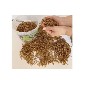 Dried Mealworms for Horse Cattle Pig Dog & Fish-France Origin - Product Image 4