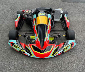 Go Kart Eléctrico de Alto Rendimiento Profesional para Pista de Karting para Adultos, Uso Exclusivo en Eventos - Product Image 1