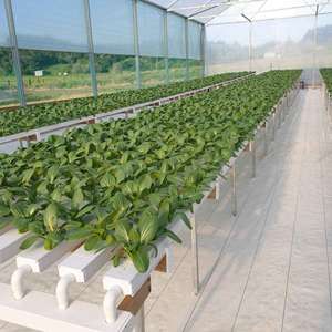 Systèmes hydroponiques modernes et tours aéroponiques pour l'agriculture intérieure, l'agriculture durable et l'efficacité de l'eau - Product Image 4