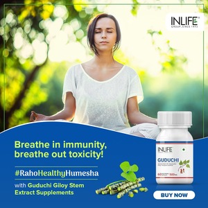 INLIFE Guduchi Giloy (Tinospora Cordifolia) Stem <strong>Extract</strong> for Immune Support Supplement, 500mg 60 Vegetarian Capsules - Product Image 5