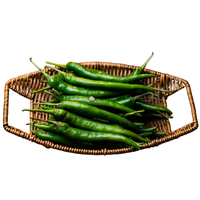 BULK WHOLESALE PRICE GREEN CHILI GREEN CHILLI PEPPER RED CHILLI for CONDIMENTS FROM EXPAD VIETNAM