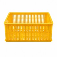 Caisses en plastique recyclables empilables et écologiques avec logo et couleur personnalisés pour le stockage et la logistique des fruits et légumes