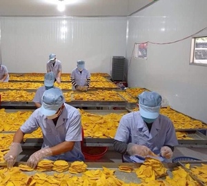 Meilleur choix 2025!!! Tranches de mangue séchées biologiques du Vietnam-Goût délicieux dans un emballage en vrac // Mme Beatrix - Product Image 6