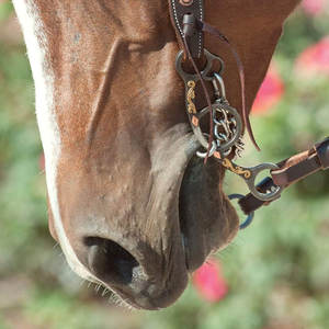 Punte di cavallo nuove condizioni di dimensioni delle guance <span class=keywords><strong>a</strong></span> cavallo stabili di alta qualità da equitazione in acciaio inossidabile punte di anelli fissi - Product Image 6