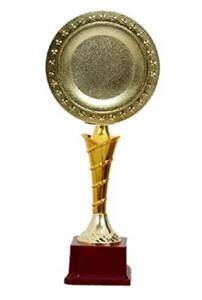 Coupe de trophée en métal de haute qualité pour le championnat de cricket, récompense, objet de décoration, cadeau commémoratif pour le gagnant d'un tournoi sportif, affichage - Product Image 6