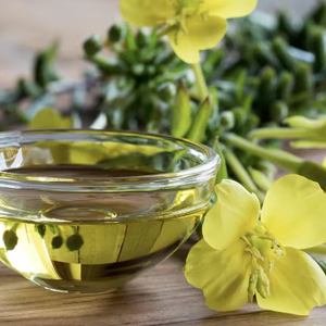 น้ำมันอีฟนิ่งพริมโรสบริสุทธิ์และเป็นธรรมชาติ100% บำบัดน้ำมันอีฟนิ่งพริมโรสจากอินเดีย - Product Image 1