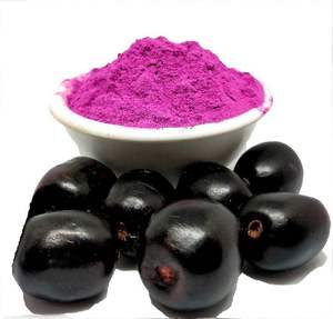 Poudre de Jamun (Plum de Java) Séchée, Naturelle et Fraîche, Qualité Supérieure, Poudre Végétale de Grade Export - Product Image 1