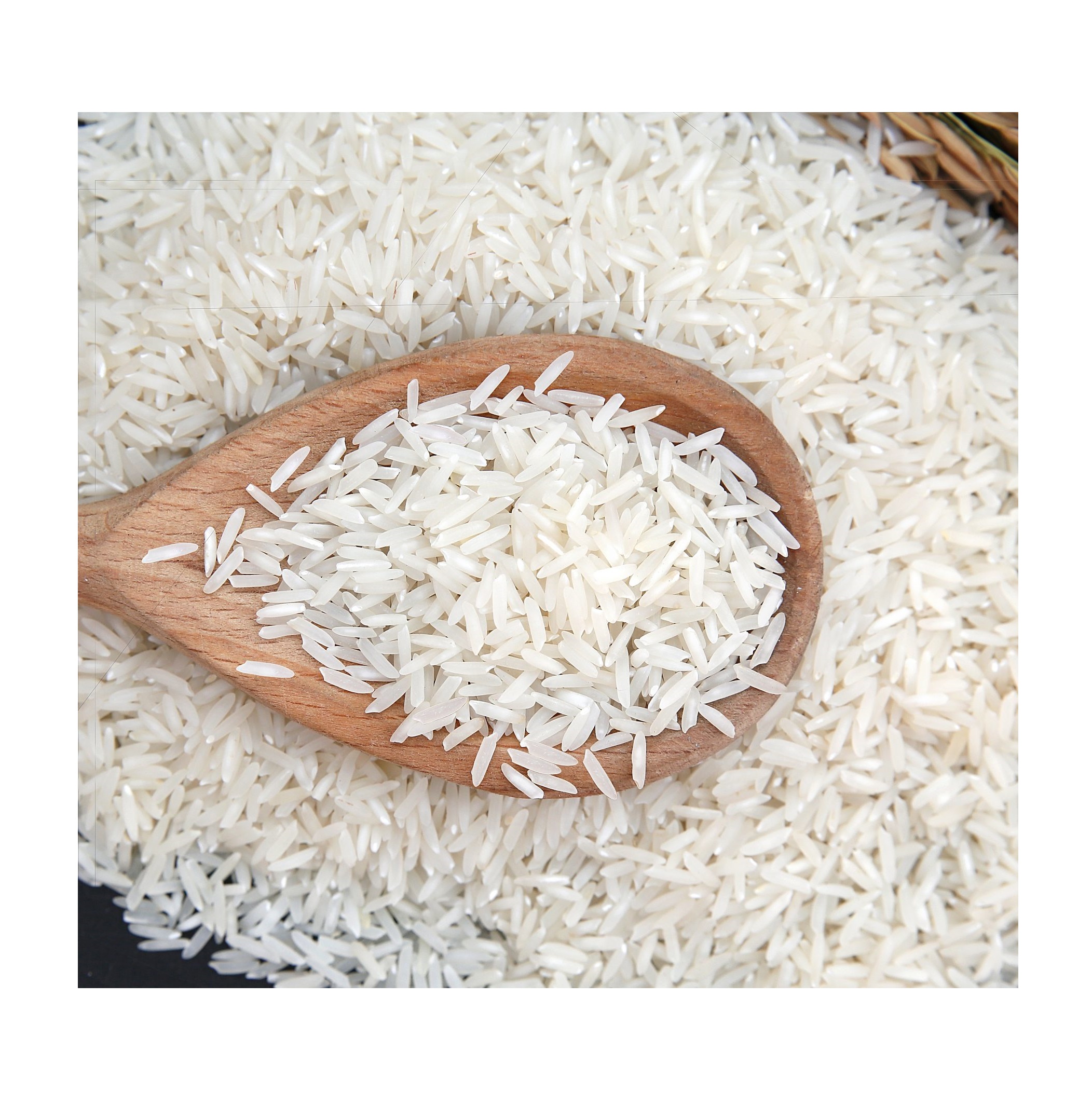 Best Price Organic Basmati Rice Long Grain Style Dried Bulk Stock with Customized Packing