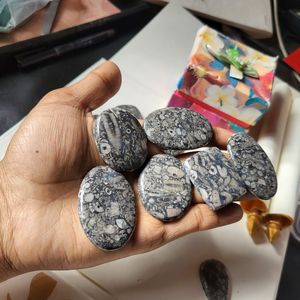 Venta al por mayor de joyería hecha a mano cabujón lote de piedras preciosas crinoides natural fósil mezcla suelta forma crinoides fósil - Product Image 1