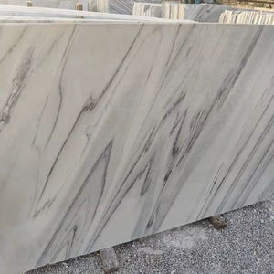 Dalles de marbre en pierre naturelle indienne - Design moderne, couleur blanc neige, texture avec veines de bois blanches, finition polie pour salon - Product Image 1