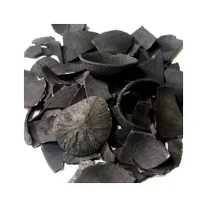 Coconut Shell Charcoal High Competitive Price From Vietnam Supplier Hot Sale Raw Material