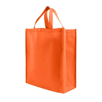 Sac de transport pour vin en tissu non tissé, design personnalisé, style Nouvel An, écologique, réutilisable, fermeture éclair, taille standard, 6 bouteilles, personnalisable