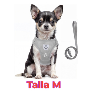 Harnais de luxe style simple, anti-évasion, en nylon respirant et acier inoxydable, pour chats et petits animaux, avec laisse intégrée. - Product Image 1