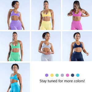 Ensemble de yoga sans couture de haute qualité pour femmes, vêtements de sport pour la salle de sport, vêtements de sport, tenue de yoga extensible, vente en gros d'usine OEM - Product Image 4