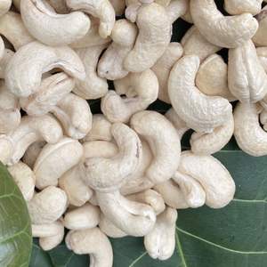 W320เม็ดมะม่วงหิมพานต์จาก2025ซานติโกเวียดนาม - Product Image 1