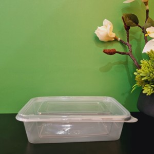 Usine 550ml Boîte En Plastique Jetable Emballage Alimentaire Rectangle Forme Transparent à Aller Conteneurs Alimentaire D'été Vente Chaude - Product Image 3