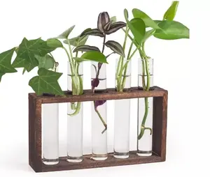 Vase à fleurs en verre élégant et raffiné avec support en bois, idéal pour la décoration de table, prix de gros, faible MOQ - Product Image 1
