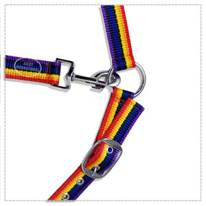 Meilleures ventes de licou d'équitation en nylon de style occidental avec raccords en acier inoxydable selle équestre en gros gravée - Product Image 2