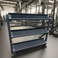 Support de Rangement Professionnel à Trois Niveaux en Métal pour Kettlebells et Haltères – Conception Sécurisée pour Usage Commercial en Salle de Sport