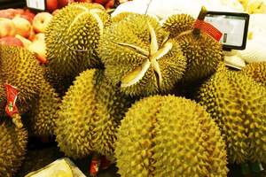 Fruit Durian frais de qualité supérieure: produit naturel et délicieux du Vietnam - Product Image 6