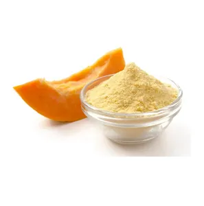 Competitive Price Top Quality Best Selling 100% Pure and Natural Papaya Fruit Extract Powder for Wholesale Purchase
