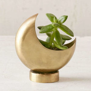 Mini jarrón de flores de fase lunar dorada, macetas decorativas de fabricante indio con maceta con estampado de logotipo de diferentes colores - Product Image 1