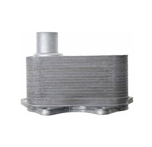 Лидер продаж, система охлаждения автозапчастей, масляный радиатор для A3 A4 A5 A6 A8 Q3 Q5 TT Alhamra Altea Exeo Octavia II Golf Pasat 2003-Heu - Product Image 1