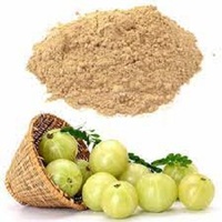 Poudre d'extrait d'Amla 100% naturelle, extrait de fruit de feuille de lefard en vrac