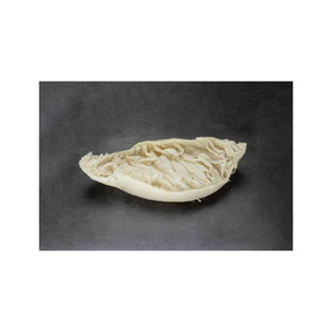 Omasum de Res Congelado de Grado A, Suministro Internacional Directo de Fábrica Premium - Product Image 4
