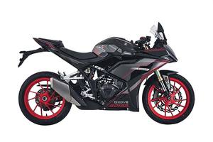 Nouvelles motos d'occasion 2023 KOVE321rr Motos321cc motos à essence motos de sport motos de course Streetbikes - Product Image 4