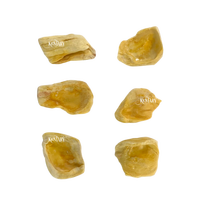 Durian vietnamien lyophilisé chips de jacquier sucré croustillant collations de fruits entiers emballage en vrac processus de culture d'OGM FD Vietnam