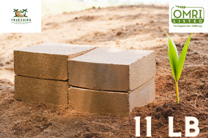 Suministro al por mayor de turba de coco orgánica comprimida de origen estadounidense de 5kg, bloque de 10 libras para uso en jardinería de vivero agrícola - Product Image 2