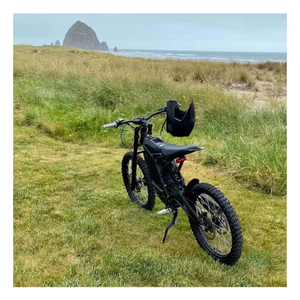 Moteur de moyeu arrière pour moto Long Range King Light Bee X E, 8000 W, moteur puissant, batterie au lithium intelligente, structure en alliage d'aluminium - Product Image 1